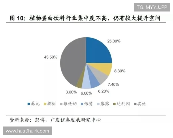 华体会体育集团在体育产业中的投资布局与多元化发展路径分析